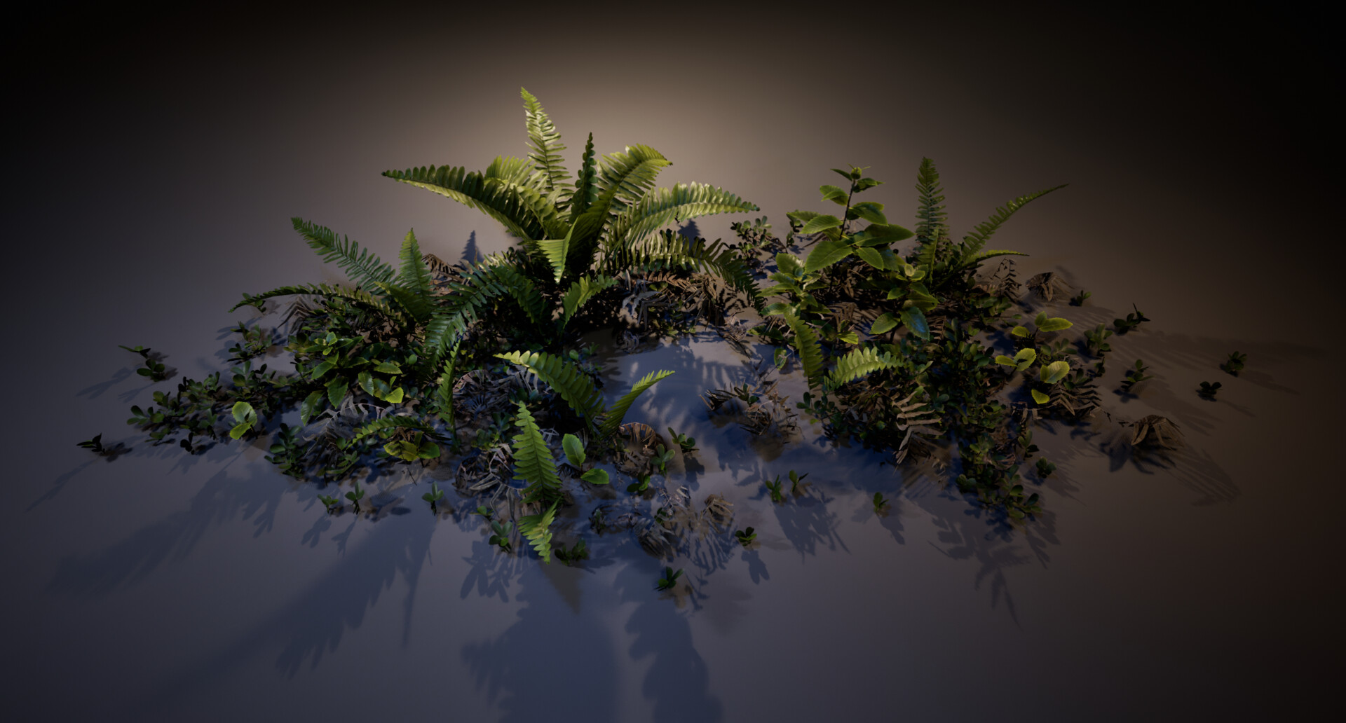 Fern diorama — image 1