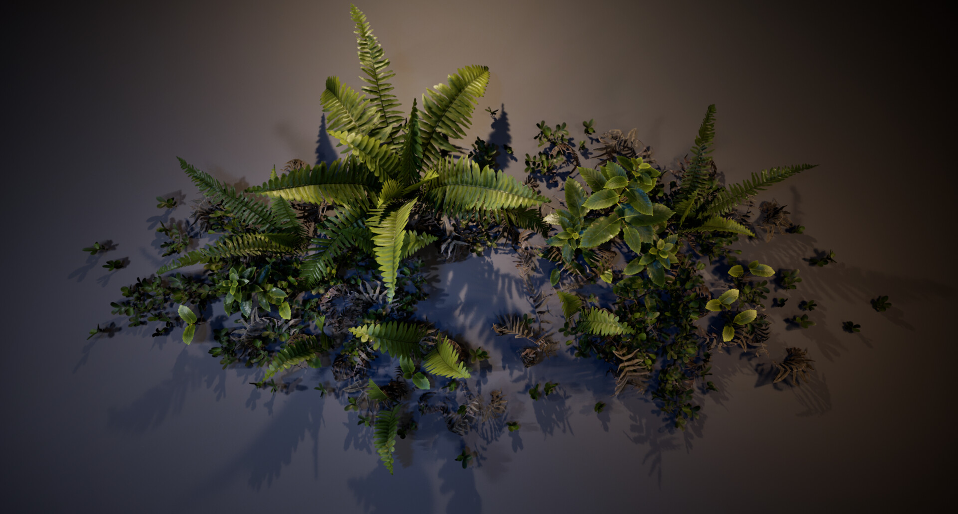 Fern diorama — image 2