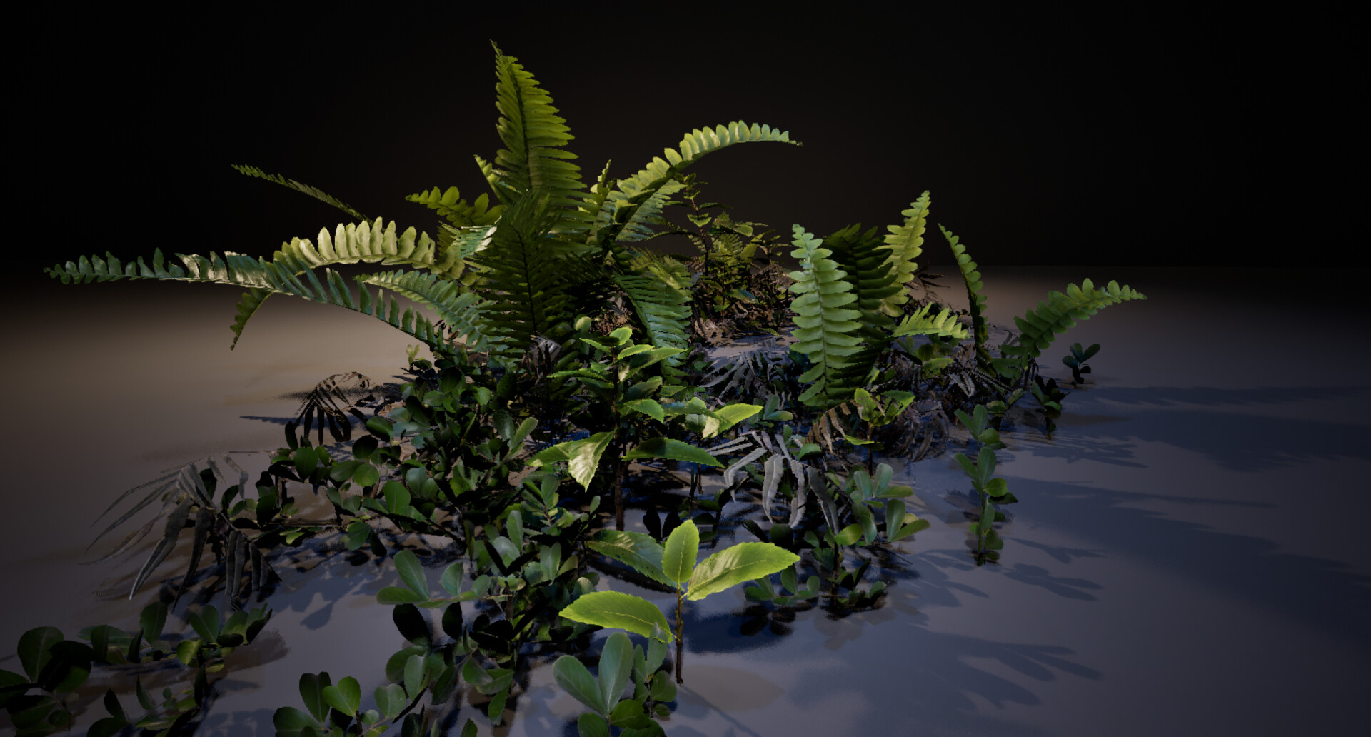 Fern diorama — image 3