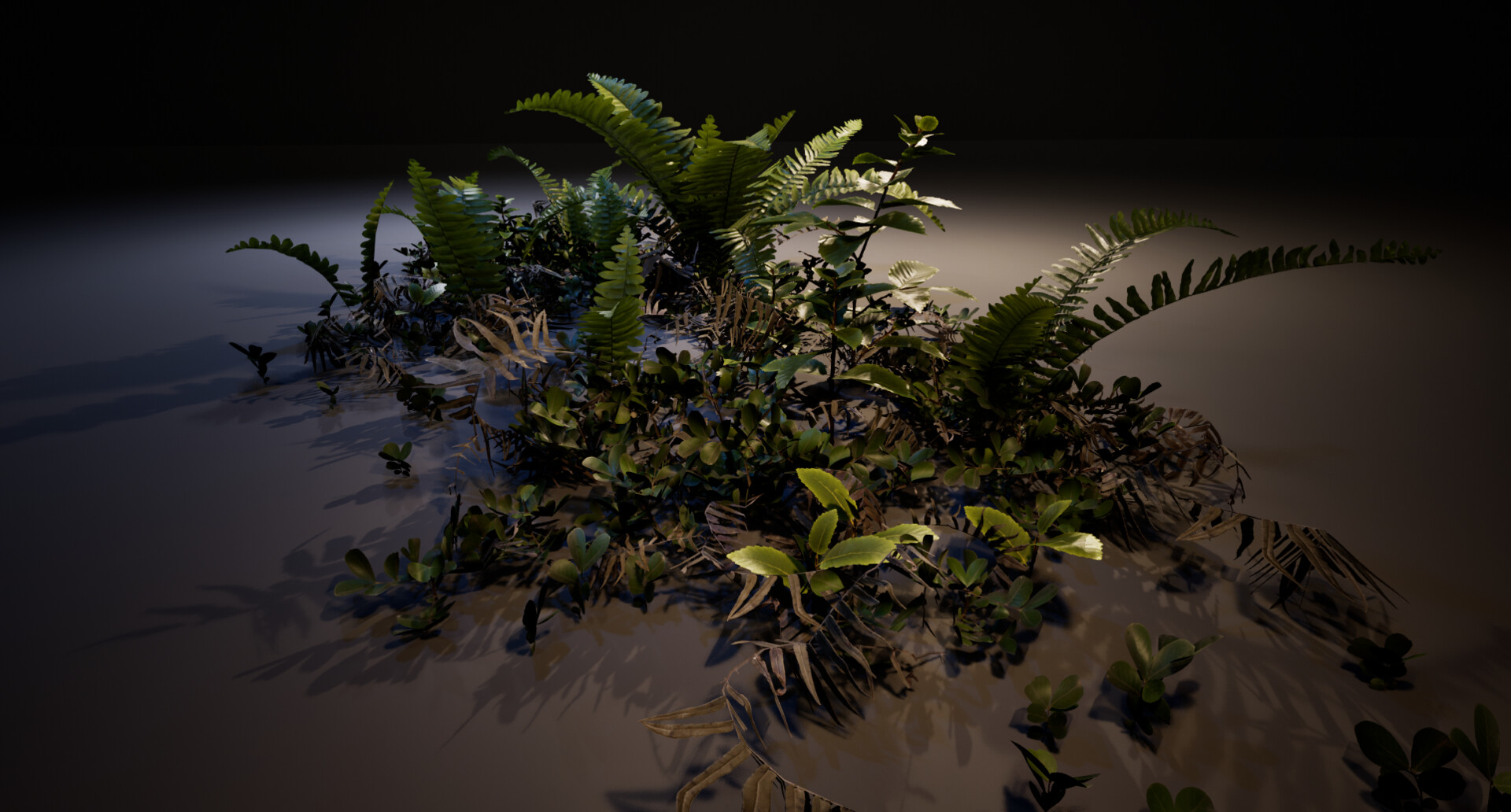 Fern diorama — image 4
