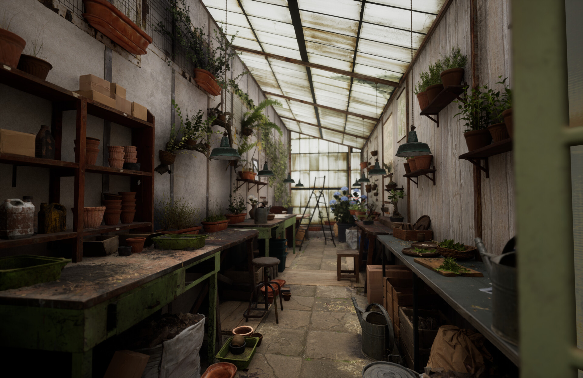 Set dressing study - Plants workshop — image 2