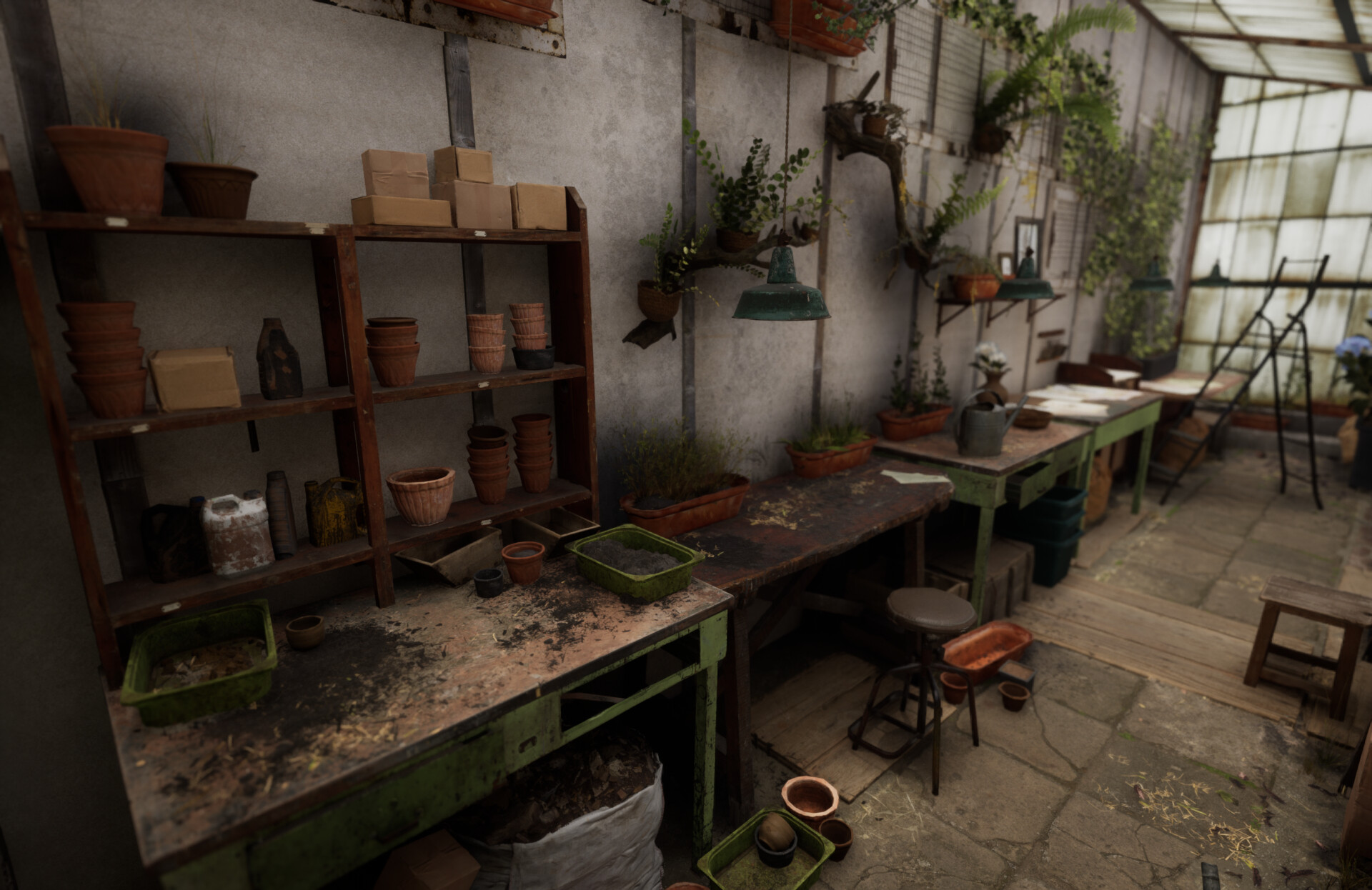 Set dressing study - Plants workshop — image 11