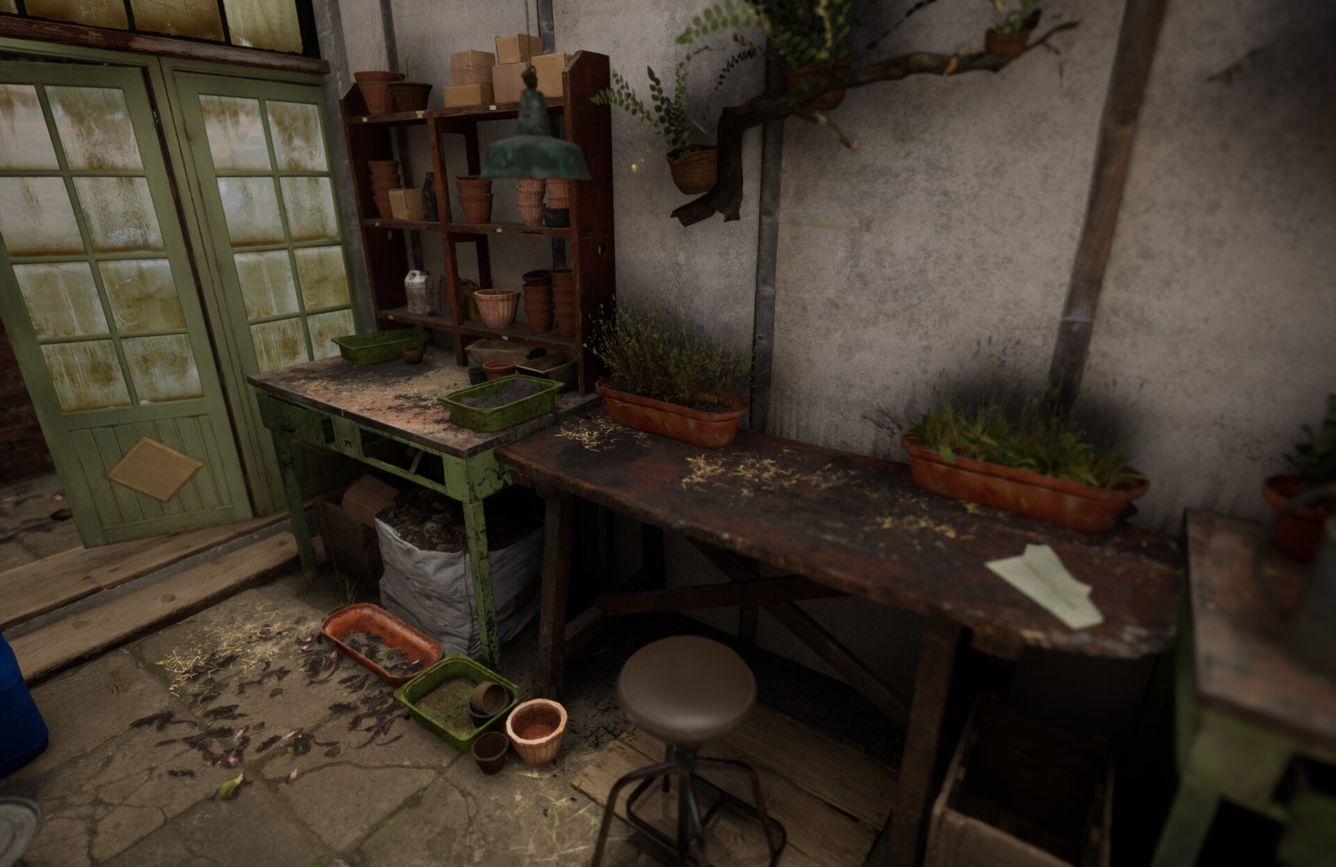 Set dressing study - Plants workshop — image 13