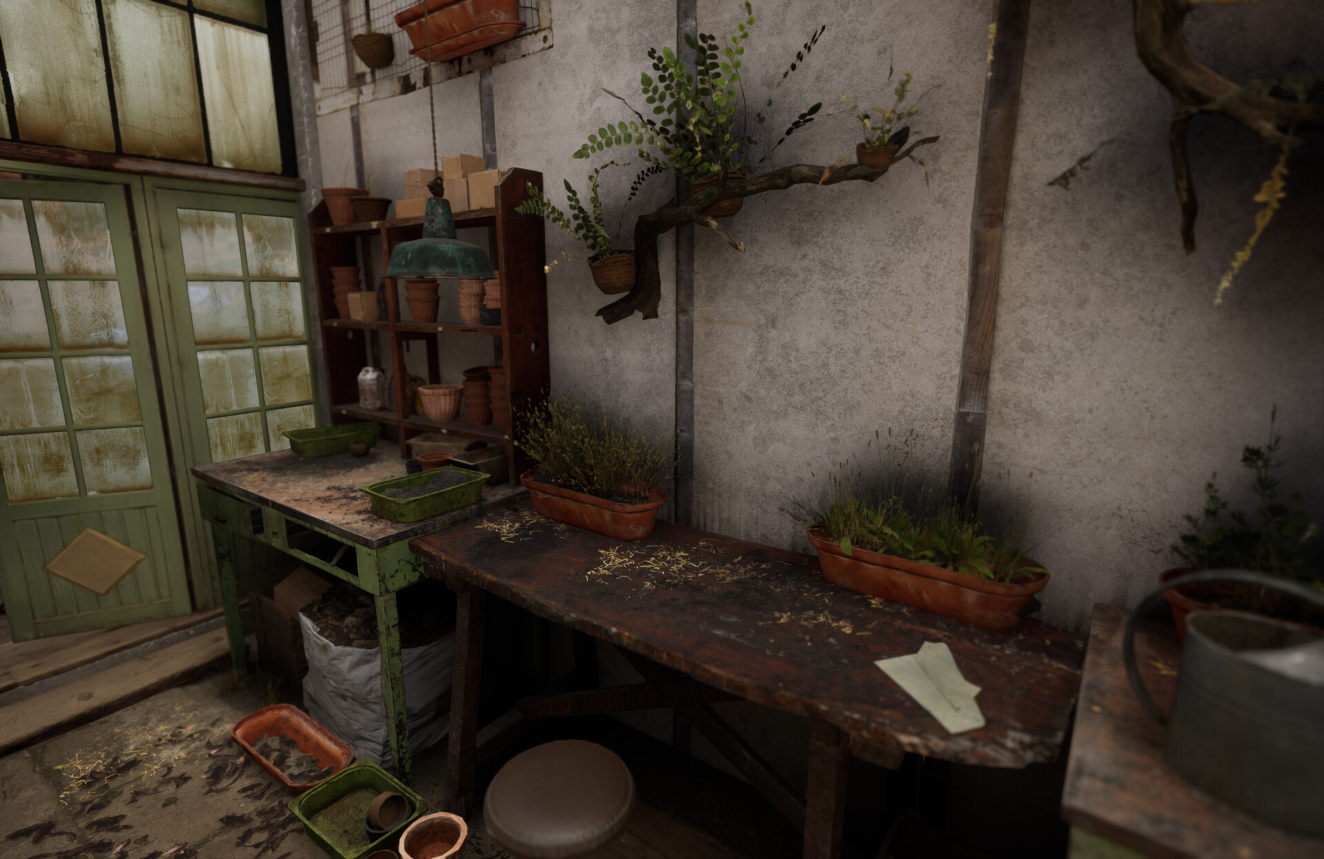 Set dressing study - Plants workshop — image 14