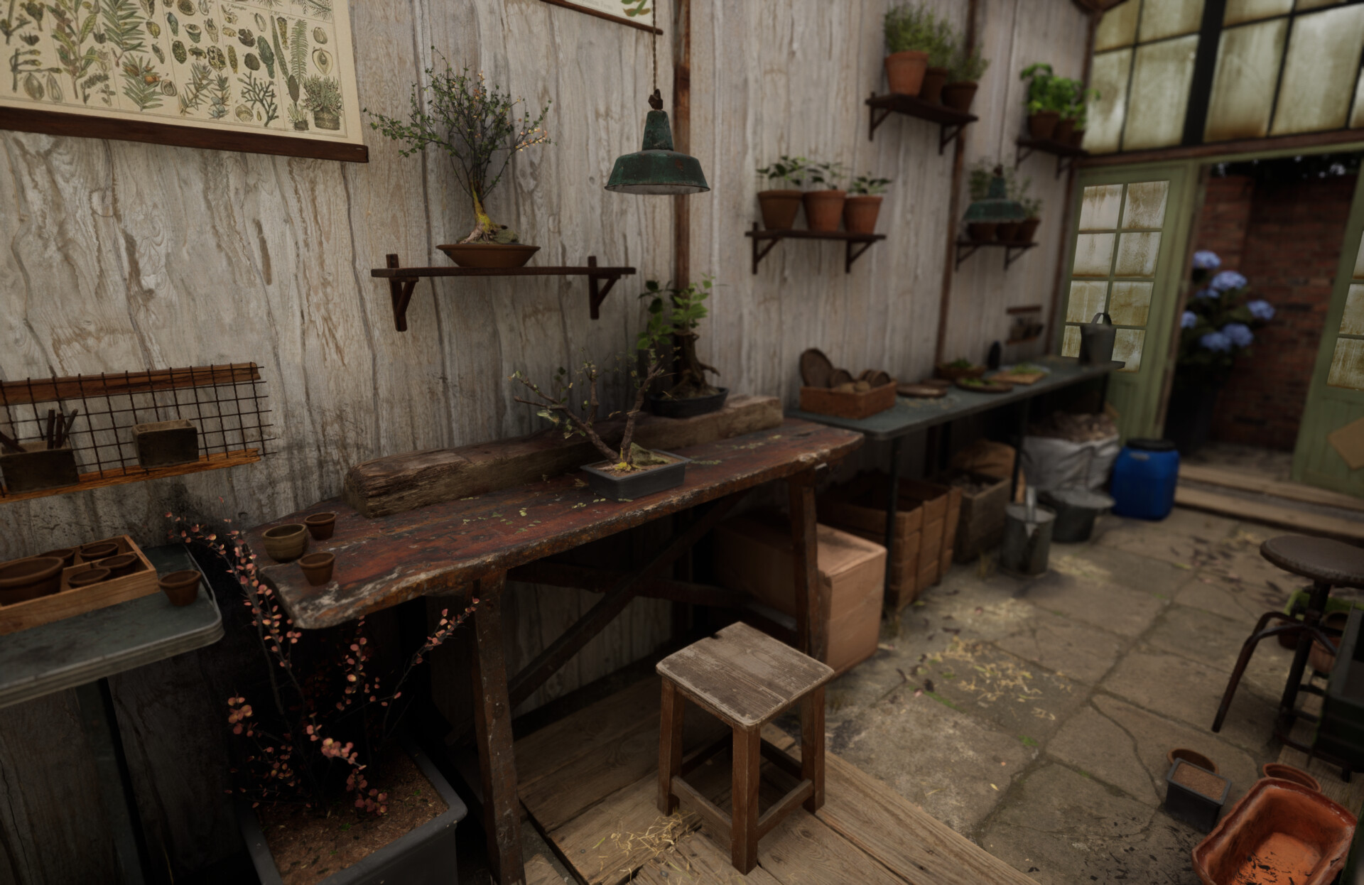 Set dressing study - Plants workshop — image 18