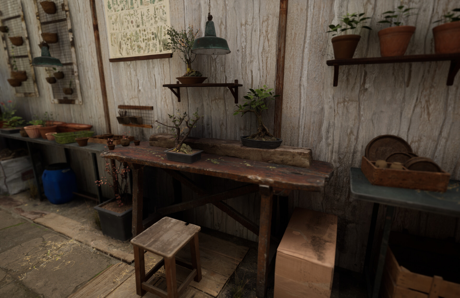 Set dressing study - Plants workshop — image 19
