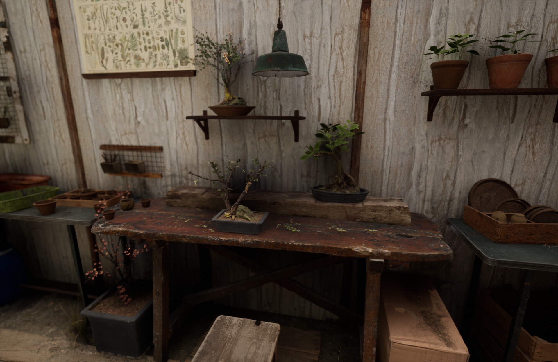 Set dressing study - Plants workshop — image 21