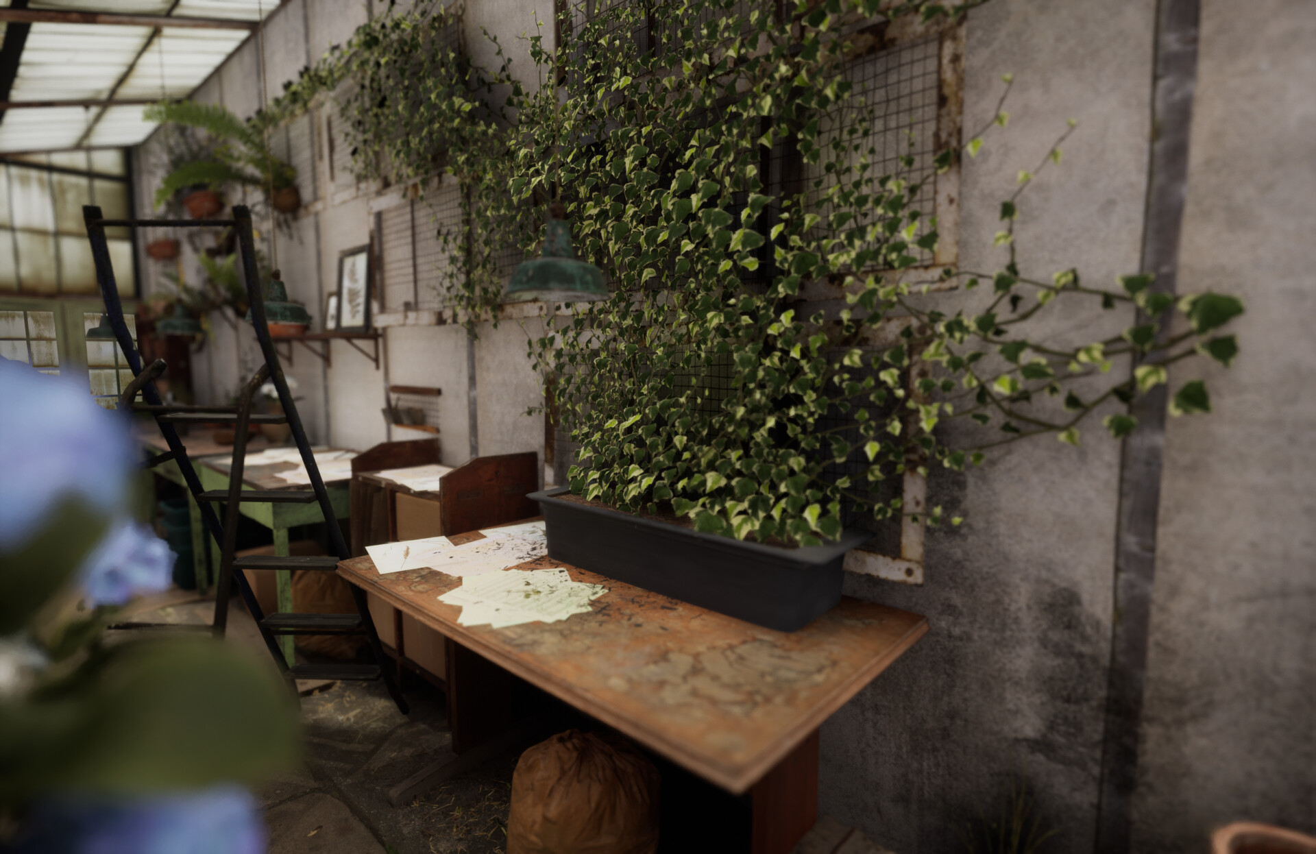 Set dressing study - Plants workshop — image 26