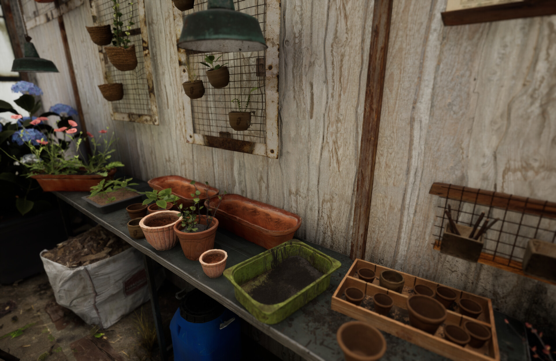 Set dressing study - Plants workshop — image 28