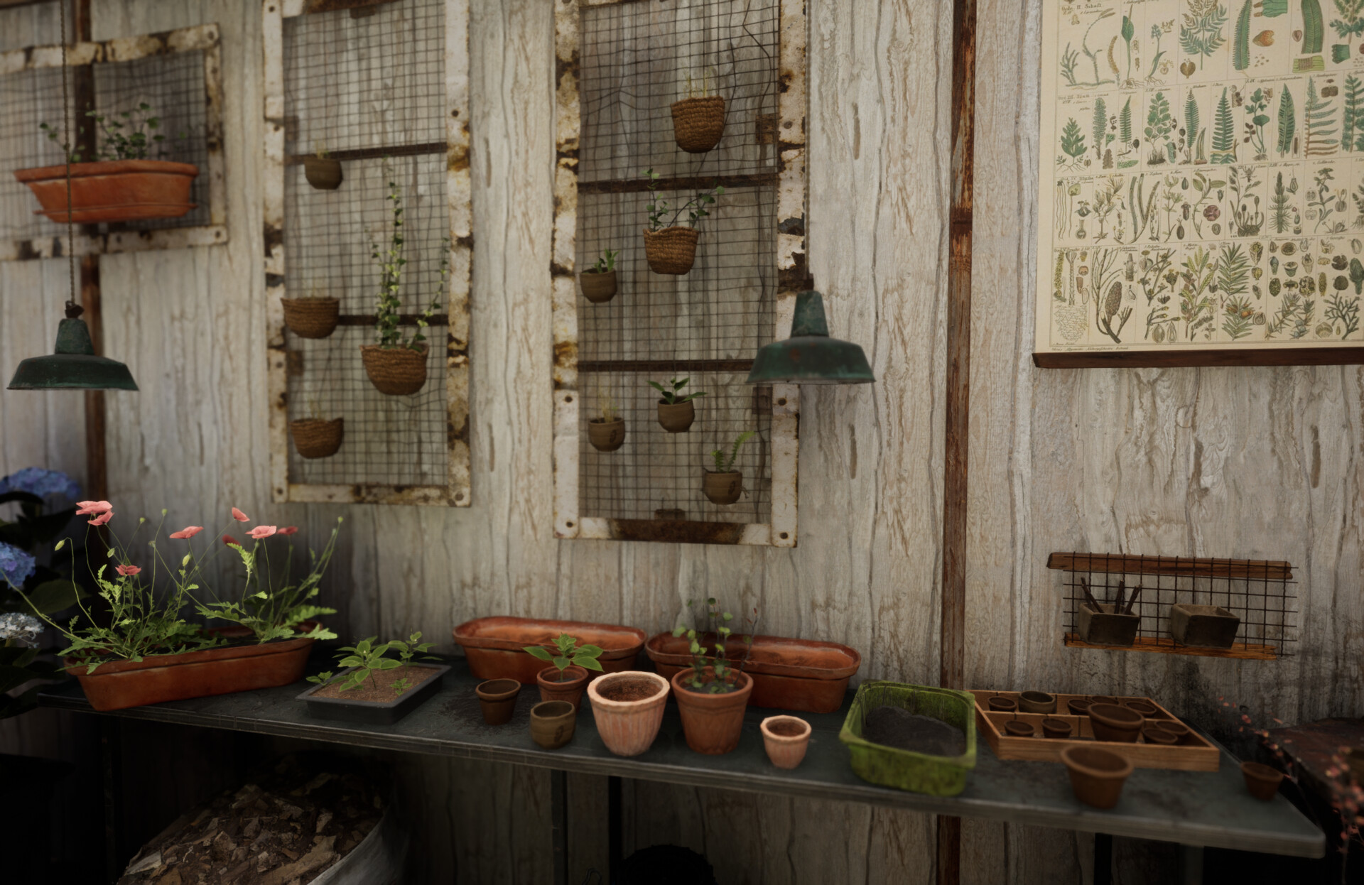 Set dressing study - Plants workshop — image 29