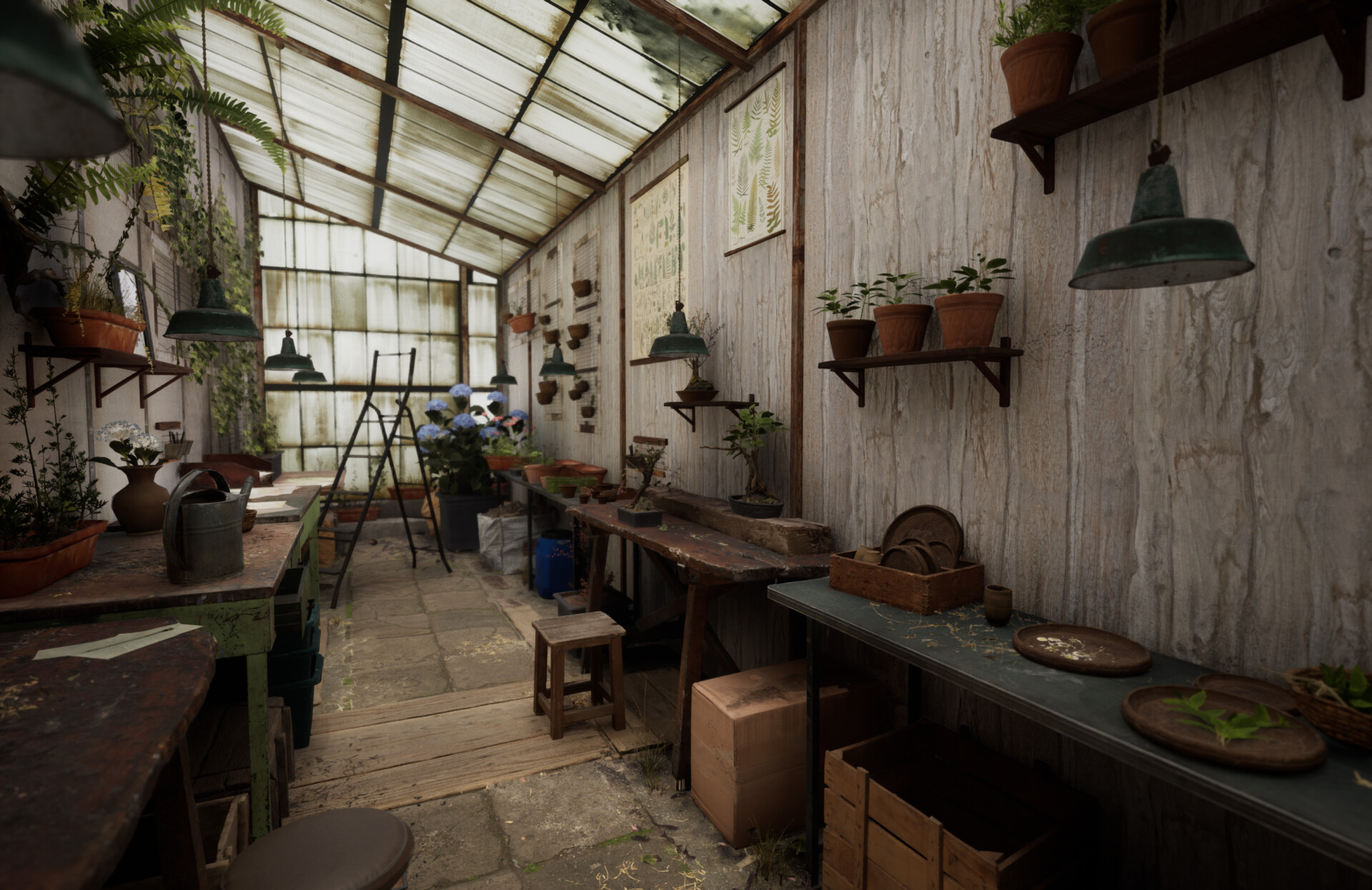 Set dressing study - Plants workshop — image 4