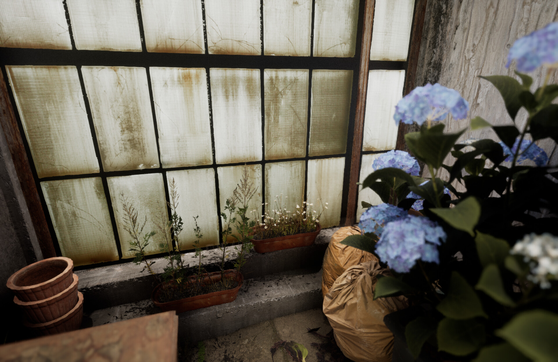 Set dressing study - Plants workshop — image 31