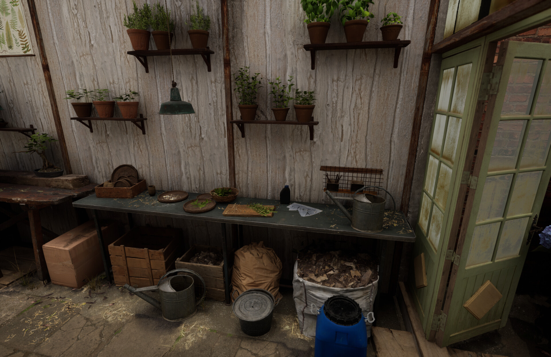 Set dressing study - Plants workshop — image 5