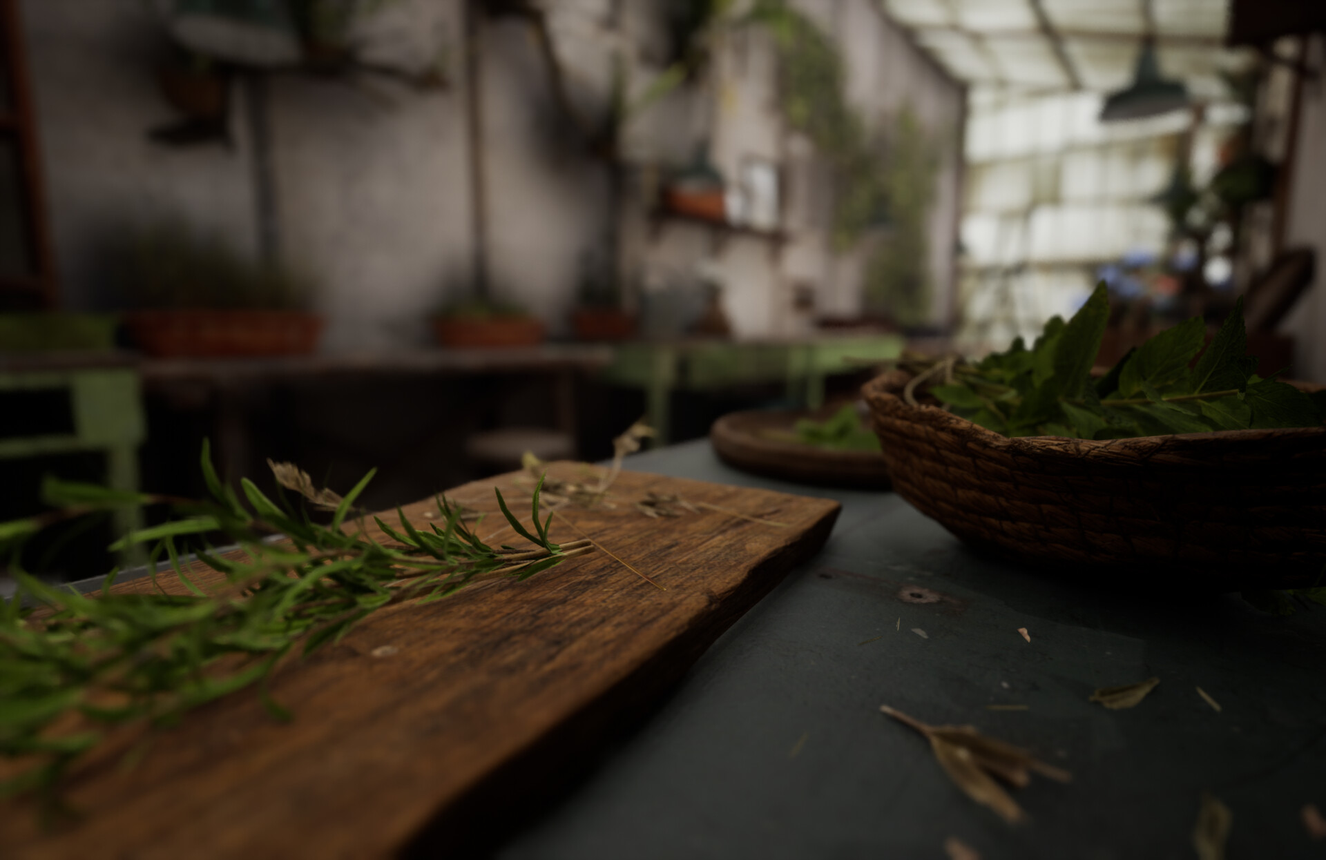 Set dressing study - Plants workshop — image 44