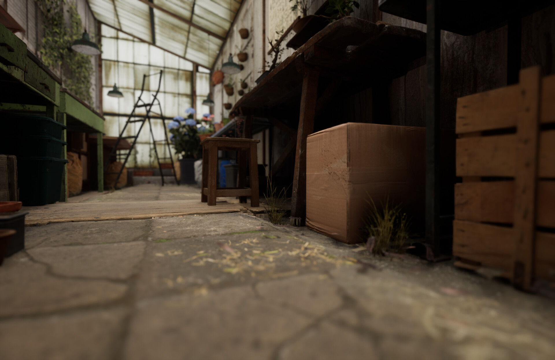 Set dressing study - Plants workshop — image 45