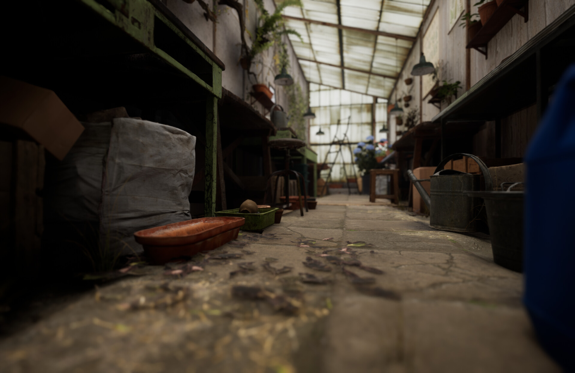 Set dressing study - Plants workshop — image 46