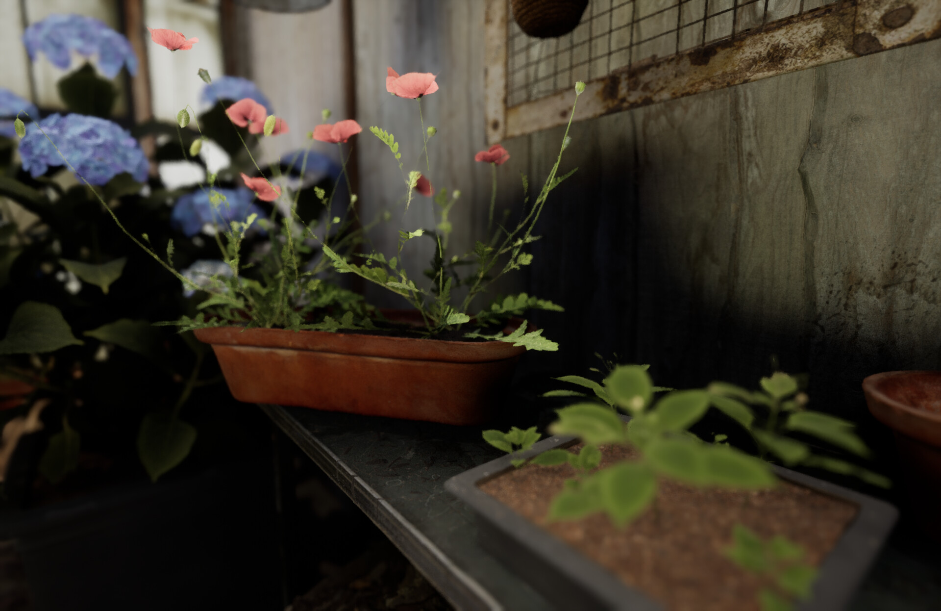Set dressing study - Plants workshop — image 49