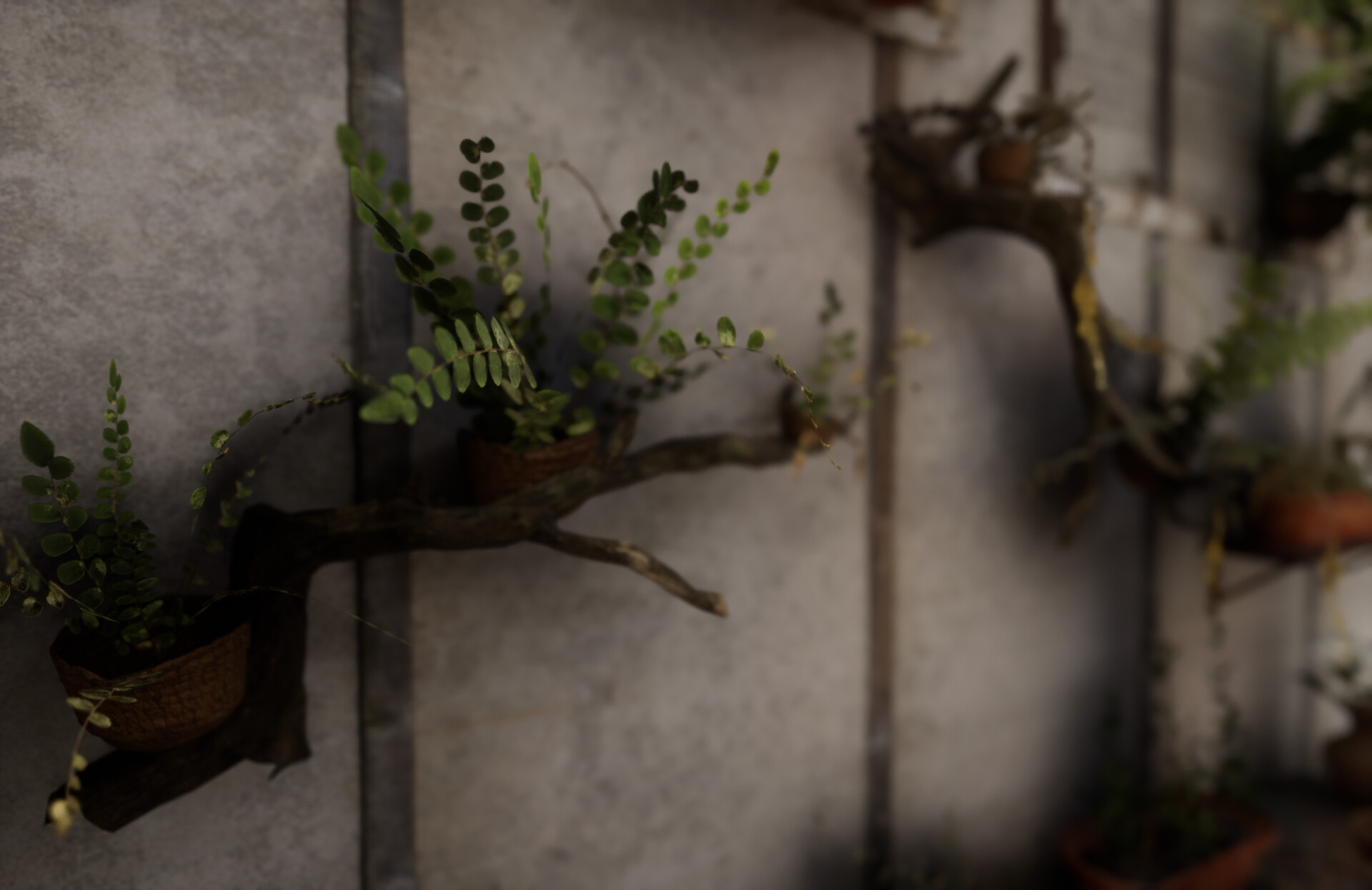 Set dressing study - Plants workshop — image 51