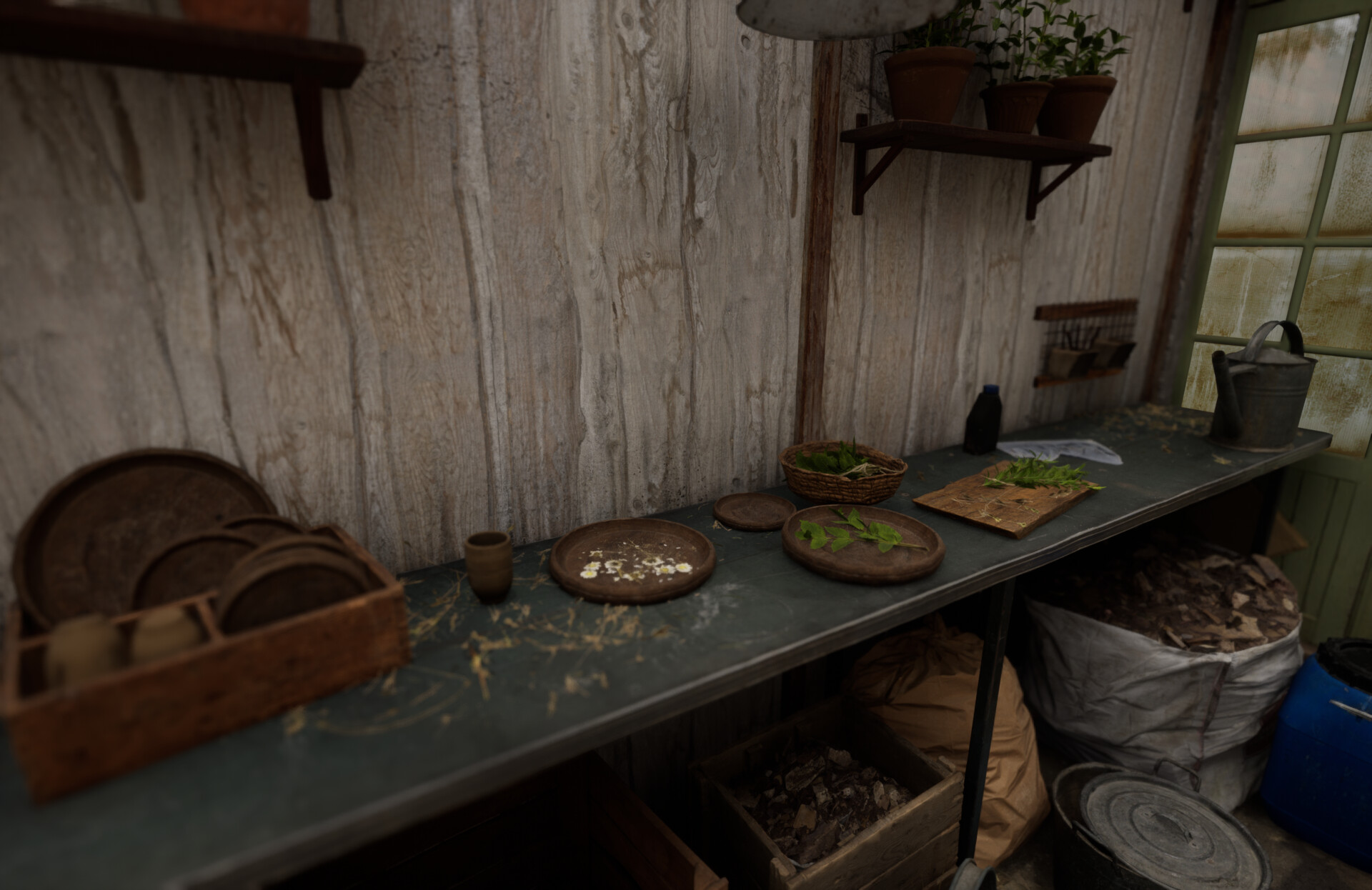 Set dressing study - Plants workshop — image 7