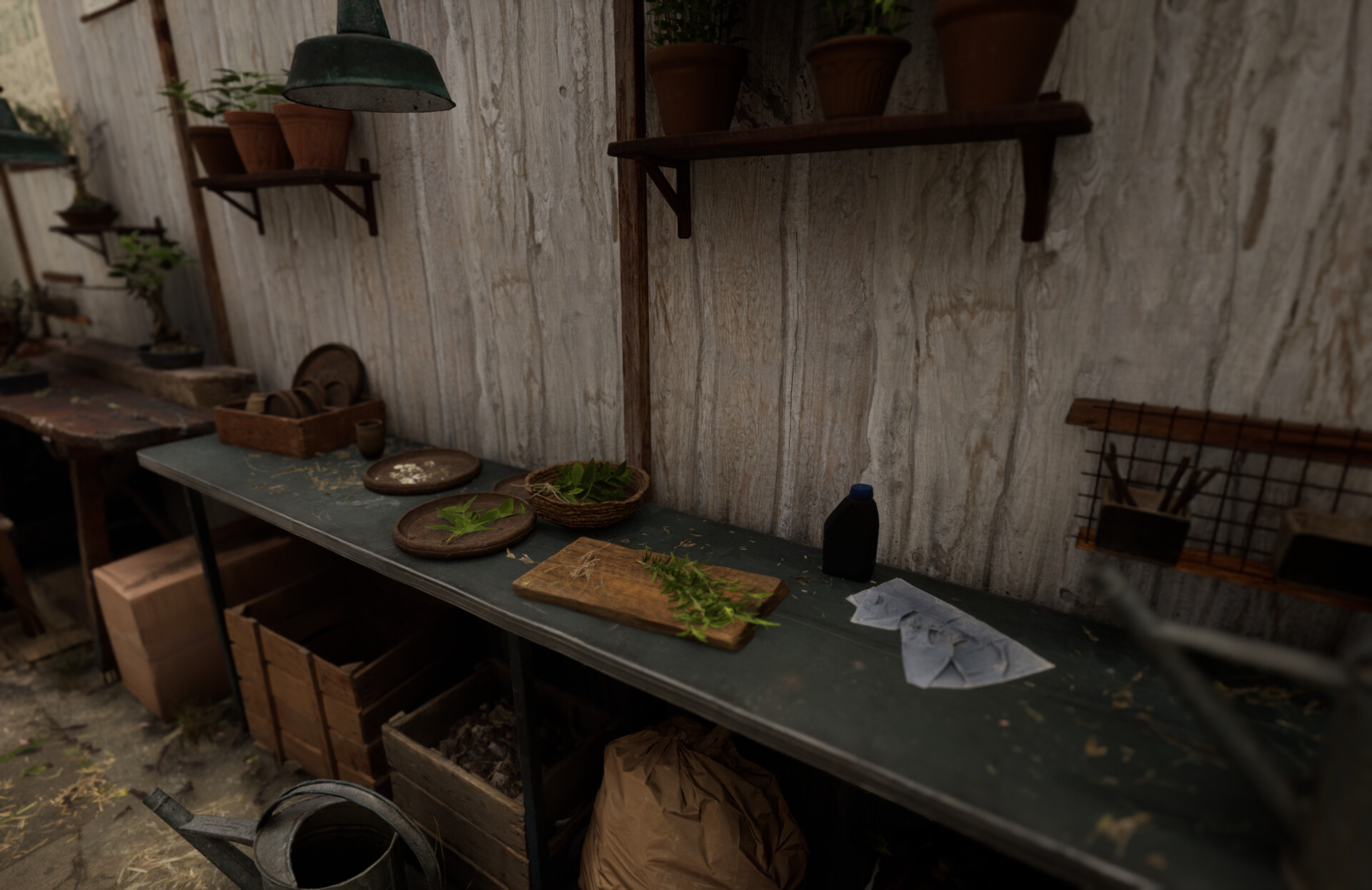 Set dressing study - Plants workshop — image 9