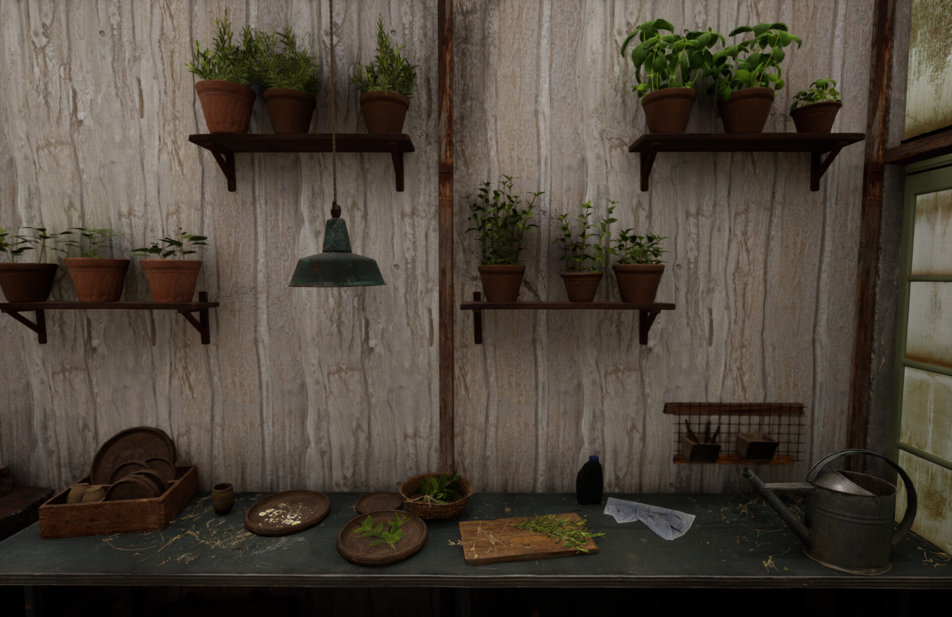 Set dressing study - Plants workshop — image 10